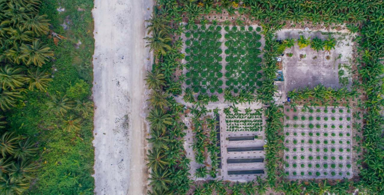 Sunview Residence Kaashidhoo Buitenkant foto