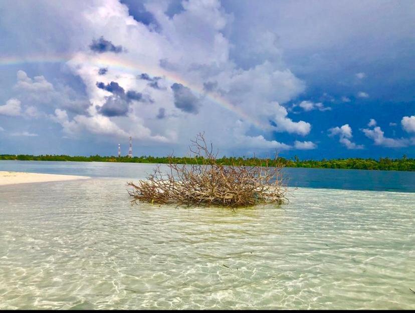 Sunview Residence Kaashidhoo Buitenkant foto